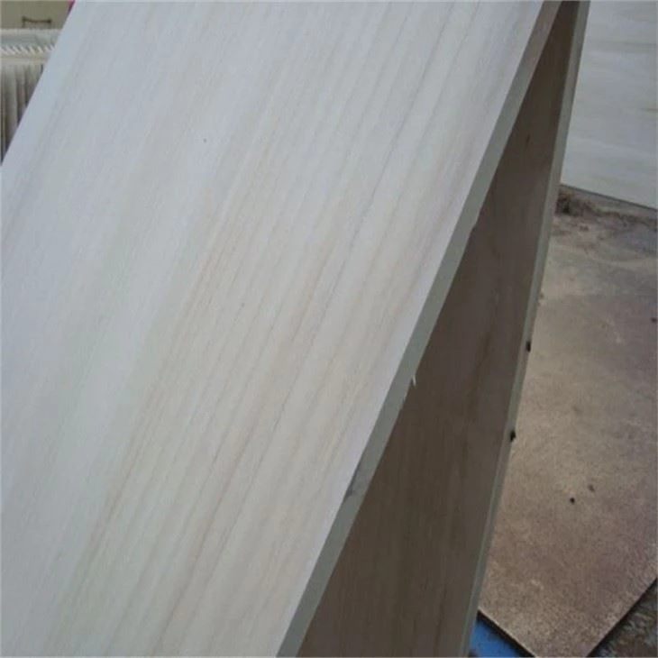 Paulownia Puzzle